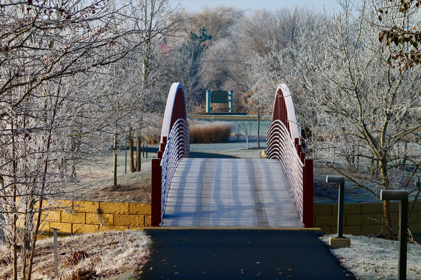 Frosty morning